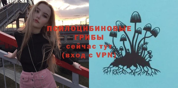 молекула духа Вязьма