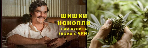 молекула духа Вязьма