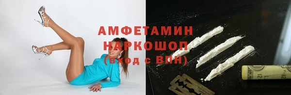 молекула духа Вязьма