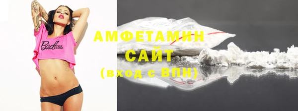 молекула духа Вязьма