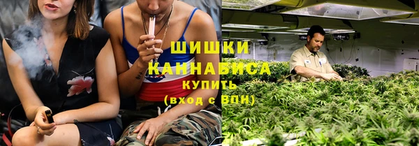 молекула духа Вязьма