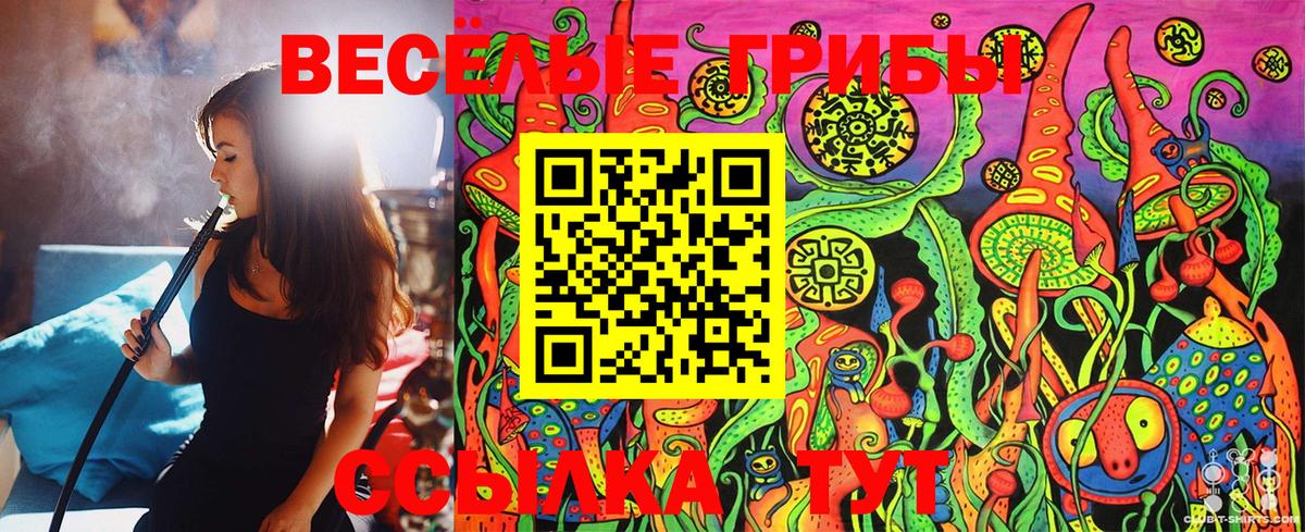Муром  Галлюциногенные грибы MAGIC MUSHROOMS  Вход с VPN 